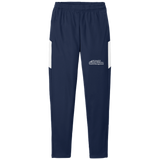 Dynasty Advisors Travel Pant