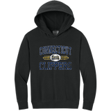 CT Clippers Youth Lightweight Hooded Sweatshirt
