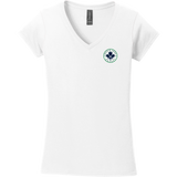 North Park Hockey Softstyle Ladies Fit V-Neck T-Shirt