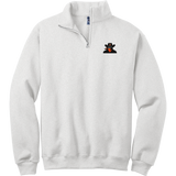 Biggby Bandits NuBlend 1/4-Zip Cadet Collar Sweatshirt