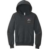 Scary Badgers Youth Sponge Fleece Pullover Hoodie