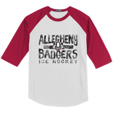 Scary Badgers Youth Colorblock Raglan Jersey